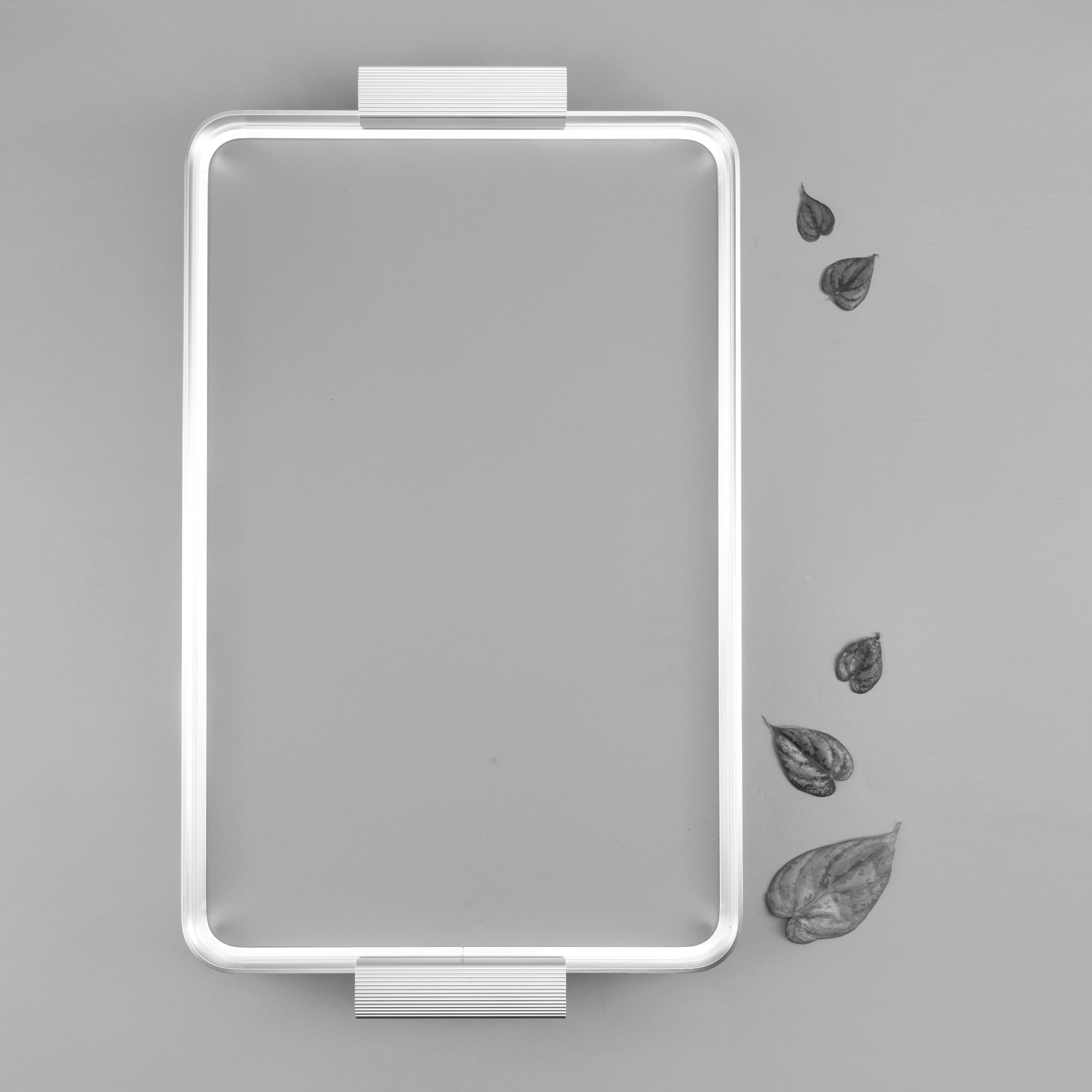 Stylish Lilac - Serving Stainless Steel Tray - Grey & Silver