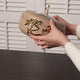 Luxury Diwan - Medium Buffet Server - Coffee & Gold